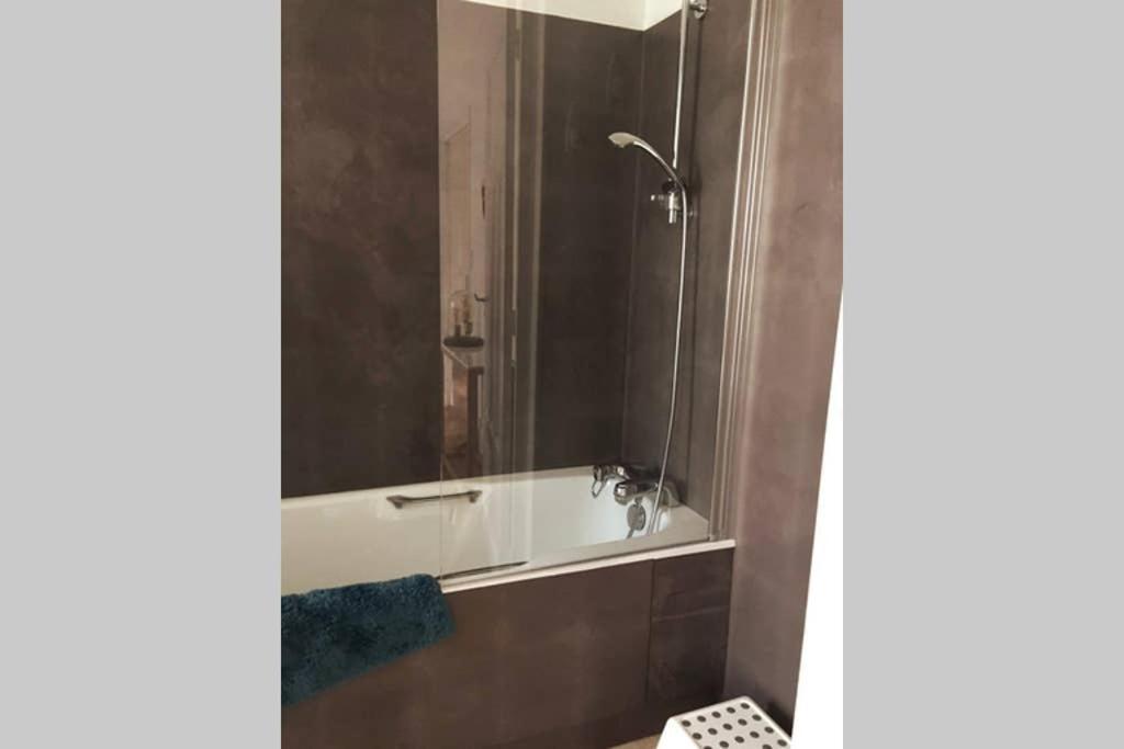 Appartement Cosy Idealement Situe Au Centre Ville ديجون المظهر الخارجي الصورة